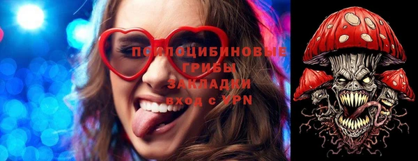прущий лед Аркадак