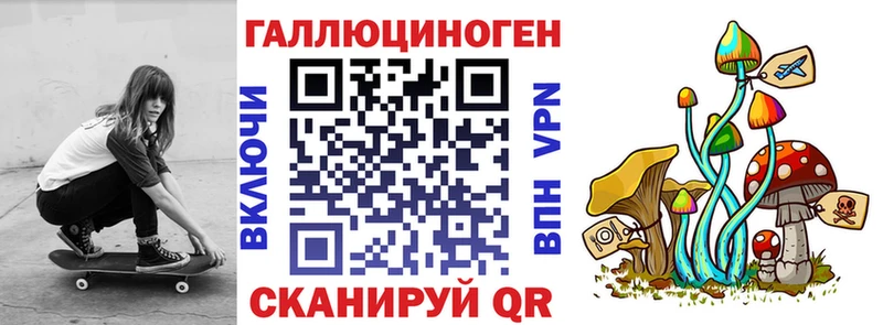 Псилоцибиновые грибы Psilocybe  Старая Купавна 